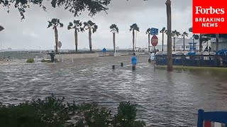 WATCH Hurricane Idalia Causes Major Flooding In Pinellas County Florida [upl. by Airdnat499]