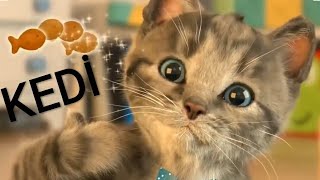 KEDİ çizgi film [upl. by Awad]