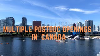 Multiple Postdoc Openings in Canada [upl. by Thomasine]