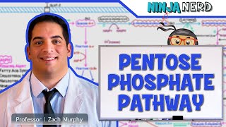 Metabolism  Pentose Phosphate Pathway [upl. by Dekow762]