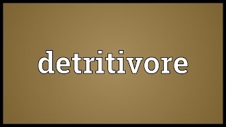 Detritivore Meaning [upl. by Ardnazil]