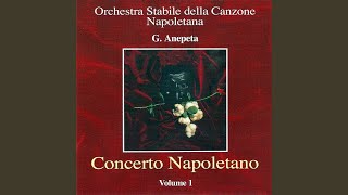 Canzone nuvella feat Antonio Siano [upl. by Anaerda]