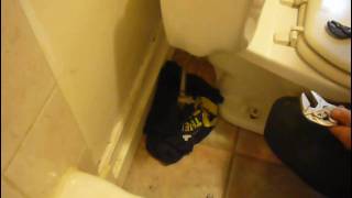 Water Hammer ing the brain How to fix your toilet and stop that ANNOYING quotWater Hammerquot Part 1 [upl. by Norri]