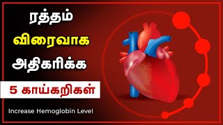 Hemoglobin Increase Food in Tamil  FAST with 5 Vegetables  24 Tamil Health [upl. by Koziara]