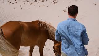 Making of de Horse and Hunk kalender 2018 Sil Visser [upl. by Aniles]