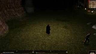 Neverwinter nights 1 Wizard Lvl 40 [upl. by Anawaj]