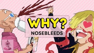 Why Characters Get Nosebleeds In Anime  Why Anime  Get In The Robot [upl. by Annmarie]