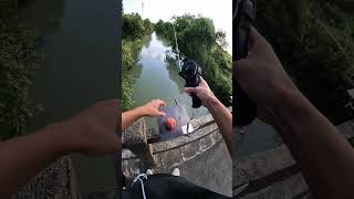 Learn carefully how to set up and fishing by automatic fishing rod and reelfishinggear fishing [upl. by Llednik750]