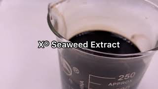 XHUMATE Ascophyllum Nodosum Natural Plant Growth Substance Organic Fertilizer Seaweed Extract [upl. by Arimas]