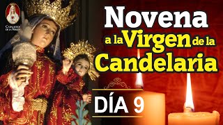 Novena a la Virgen de la Candelaria 🕯️Día 9🕯️Oración y Meditación 🙏Caballeros de la Virgen [upl. by Marketa]