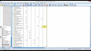 Faktör Analizi  SPSS [upl. by Manda]