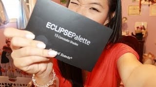 Coastal Scents Eclipse Palette 15 Concealer Shades REVIEW [upl. by Ellehcar729]