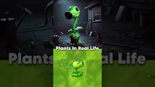 PVZ Plants in real life plantsvszombies funnyshorts pvz funnymoments [upl. by Ahsiela]