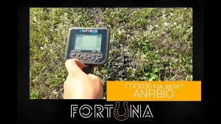 Nokta Anfibio порвал Minelab CTX3030 на денарий в почве на 22 см [upl. by Nihs295]