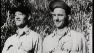 quotThe Coast Watchersquot  Guadalcanal 1942 Part 2 of 2 [upl. by Llenrup820]