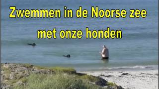 85 camperreis noorwegen We zijn op camping Andenes en hopen het noorderlicht te zien [upl. by Llehsyar]