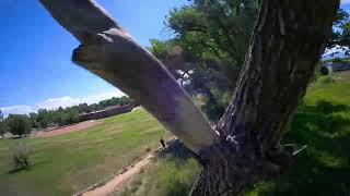 Raw FPV  Ripping the Giant Cottonwoods Part 6 [upl. by Lampert]