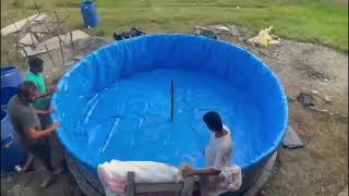 DIY fish farming in tarpaulin Tanks RAS System [upl. by Gayel635]