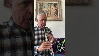 Divertimento K 240 Andante grazioso 18 Mozart lygeros music clarinet musicalinstrument [upl. by Borszcz]