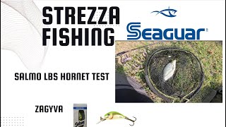 Salmo Hornet 2 LBS teszt a kőhídnál  ezt a csalit még a dévérek is megeszik  Strezza Fishing [upl. by Nebe]