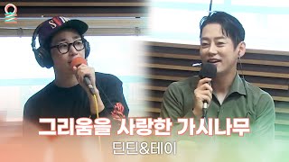 ALLIVE 딘딘DINDINamp테이Tei  그리움을 사랑한 가시나무 원곡 테이  올라이브  굿모닝FM 테이입니다｜MBC 230630 방송 [upl. by Hearsh177]