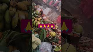 Asina pura hoy music song viralvideo trindinge hindisong chhathpuja bihar shardasinha love [upl. by Ramses]