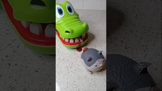 Poor kitten 😢 cat meaw memes satisfying funny squishy toyscat [upl. by Eneleuqcaj]