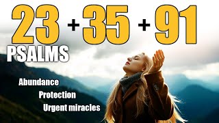 PSALMS 23 35 91  03 Powerful Prayers to Obtain Abundant Blessings and Divine Protection [upl. by Einnoj]