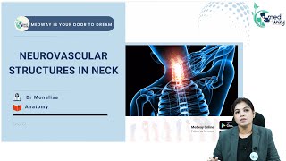 Neuromuscular Structures In Neck  Anatomy  By Dr Monalisa medway [upl. by Ainaled]