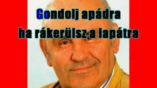 Hofi Géza  Gondolj apádra Karaoke [upl. by Dempstor]