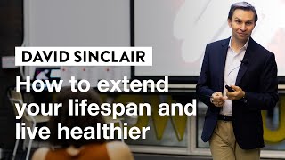 How to Extend Your Lifespan with David Sinclair  IVY Masterclass [upl. by Margette]