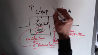 Physique des particules  8 Les semis conducteurs de type p et n et les porteurs de charges [upl. by Jarita]