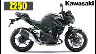 2024 Kawasaki Z250 [upl. by Anaili]