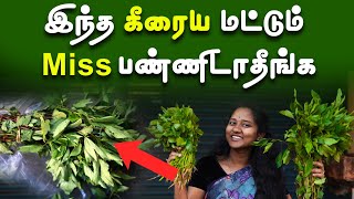 கீரையை பார்த்தே கண்டுபிடிக்கலாம்  Health Benefits of Spinach  Food Video [upl. by Martres]