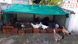 Homemade Chicken Coop  How To Build a Chicken Coop Chicken House [upl. by Aniloj151]