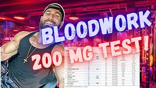 WHAT TO EXPECT ON 200 mg TESTOSTERONE per week  Bloodwork and How I feel after 4 months on 200mg [upl. by Wardlaw]