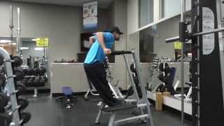 Dips for Building the Chest [upl. by Eaver]