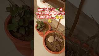 vastutips astrology motivation upaye panditpradeepjimishra धन youtubeshorts shortsviral [upl. by Namad]