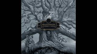 Mastodon  Teardrinker acoustic Official Audio [upl. by Attenyt]