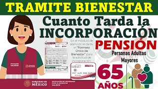 🚨 PENSIÓN BIENESTAR ¿Cuánto Tiempo Tarda El TRAMITE de INCOPORRACIÓN al PROGRAMA [upl. by Malissia454]