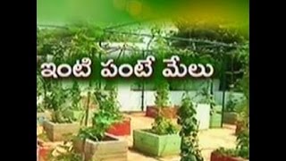 Water conserving by roof gardening in Hyd  జైకిసాన్  on 17th April 2015 [upl. by Sahc802]