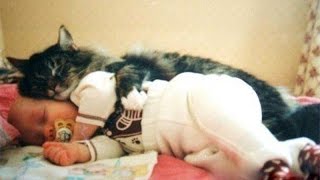 Cats and babies cuddling – Cute cat and baby compilation [upl. by Farron]