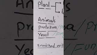 Peroxisomes occurrence biology youtubeshorts [upl. by Aicatsue151]