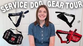 SERVICE DOG GEAR TOUR  updated service dog gear collection ft harnesses vests hybrids and more [upl. by Nayab]