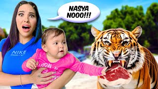 NASYA POR PRIMERA VEZ EN UN ZOOLÓGICO Alimento animales salvajes 😰 [upl. by Jamesy]