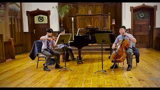 CGS Kingussie Trio Smetana Piano Trio in G minor op15 1st mvt [upl. by Meeki389]