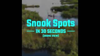 How To Find Snook In Less Than 30 Seconds Snook Hotspots [upl. by Attelra]