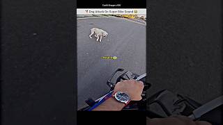 Dog Attack On Super Bike Rider exaust Sound 😂 bmws1000rr exaustsound dog dogattack shorts bike [upl. by Shuping]