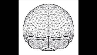 The evolution of modern human brain shape [upl. by Odelia]