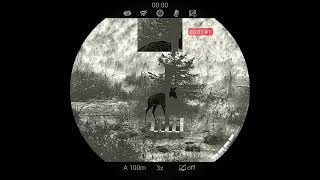 Nocpix ACE H50R Thermal Riflescope  Roe Deer [upl. by Nolana]